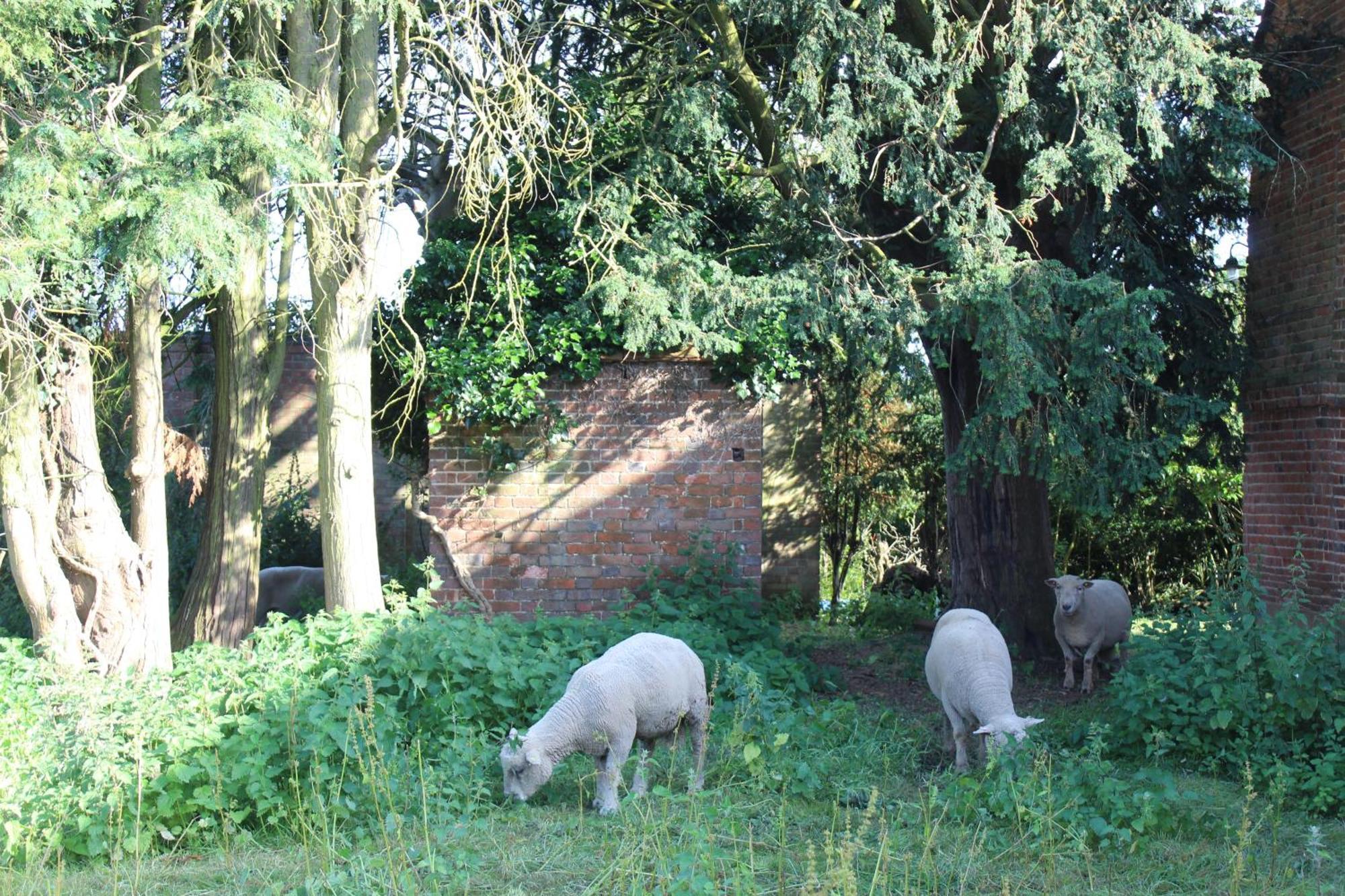 Parkfields Barns Self Catering Accommodation Buckingham Exterior foto