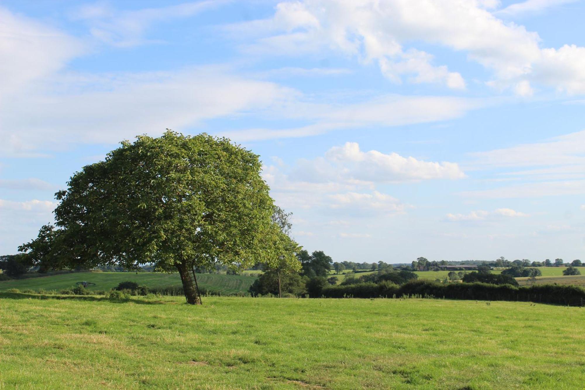 Parkfields Barns Self Catering Accommodation Buckingham Exterior foto